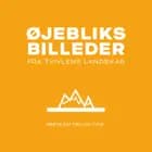 Øjebliksbilleder fra tvivlens landskab