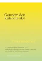 Gennem den kulsorte sky