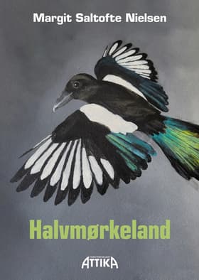 Halvmørkeland af Margit Saltofte Nielsen