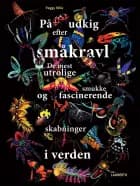På udkig efter småkravl