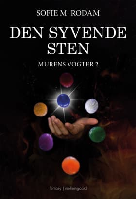 Den syvende sten af Sofie M. Rodam