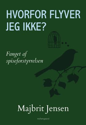 Hvorfor flyver jeg ikke? af Majbrit Jensen