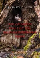 Ind gennem hullet til skovnissernes hjem