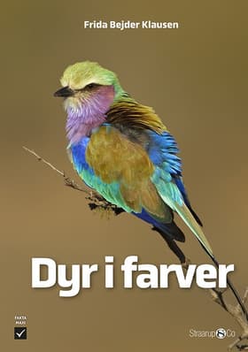 Dyr i farver af Frida Bejder Klausen