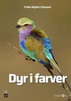 Dyr i farver