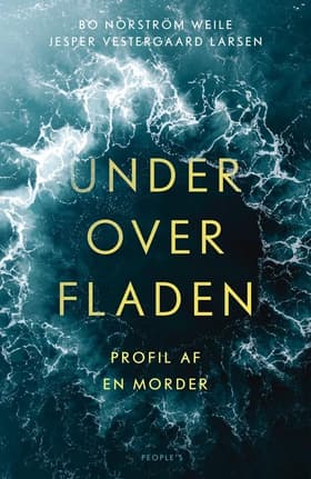 Under overfladen af Bo Norström Weile