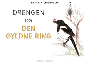 Drengen og den gyldne ring af Peter Kildenfeldt