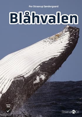 Blåhvalen af Per Straarup Søndergaard