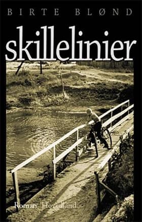 Skillelinier af Birte Blønd