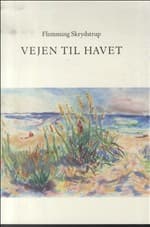 Vejen til havet af Flemming Skrydstrup