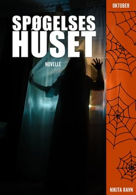 Spøgelseshuset af Nikita Ravn