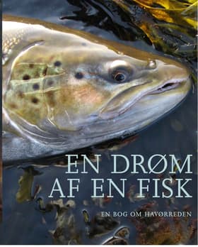 En drøm af en fisk af Redaktion Thomas Vinge