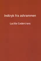 Indtryk fra Ashrammen