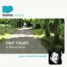 Ved Vejen