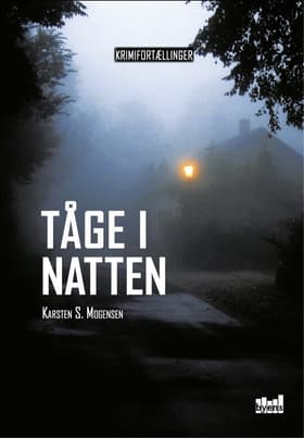 Tåge i natten af Karsten S. Mogensen