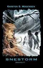 Snestorm