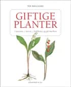 Giftige planter