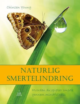 Naturlig smertelindring af Shinzen Young