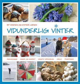 Vidunderlig vinter af Esther Larsen