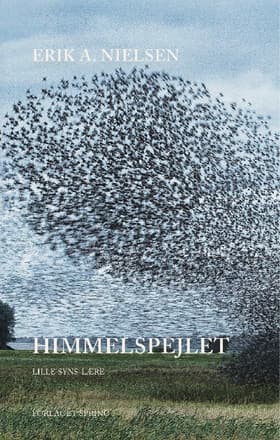 Himmelspejlet af Erik A. Nielsen
