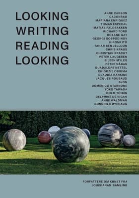 Looking Writing Reading Looking af Peter Laugesen