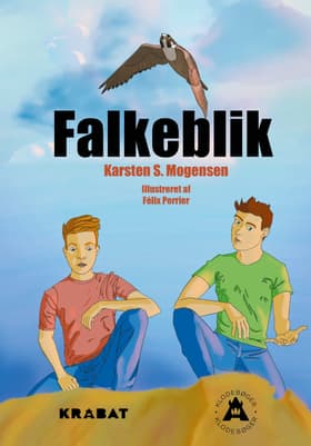Falkeblik af Karsten S. Mogensen