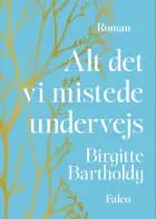 Alt det vi mistede undervejs