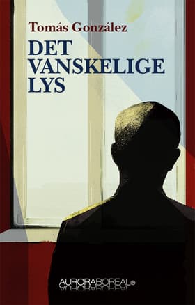 Det vanskelige lys af Tomás González