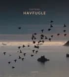GRØNLANDS HAVFUGLE