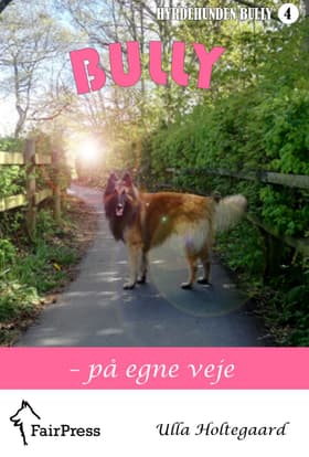Bully - på egne veje af Ulla Holtegaard