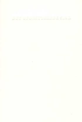 Det uforstyrrede sind af Agnes Martin