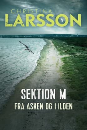Fra asken og i ilden af Christina Larsson